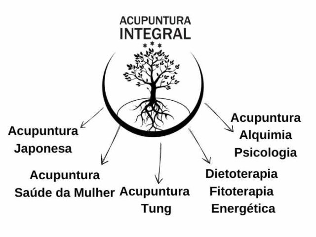 imagem que mostra os outros cursos de acupuntura disponíveis como acupuntura japonesa, acupuntura integral, acupuntura mestre tung, acupuntura e psicologia