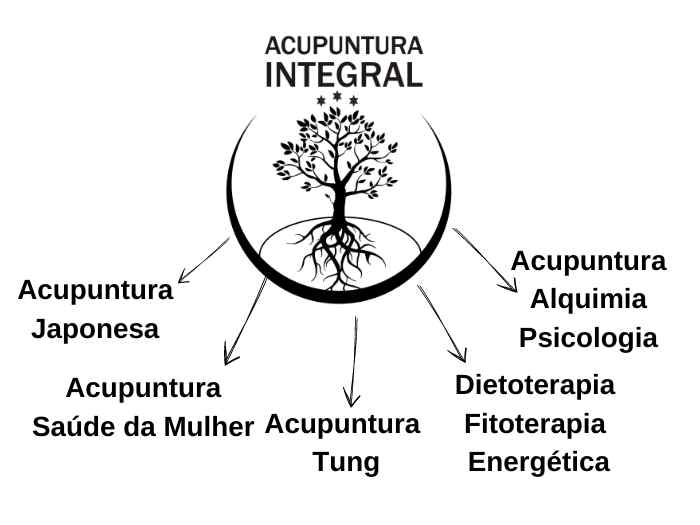 imagem que mostra os outros cursos de acupuntura disponíveis como acupuntura japonesa, acupuntura integral, acupuntura mestre tung, acupuntura e psicologia