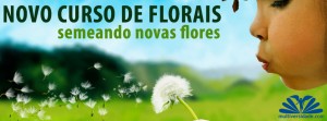 curso de florais de bach