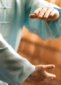 Qi Gong (chi gong)