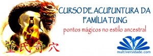 acupuntura do mestre tung