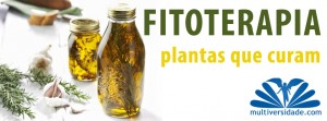 curso de fitoterapia